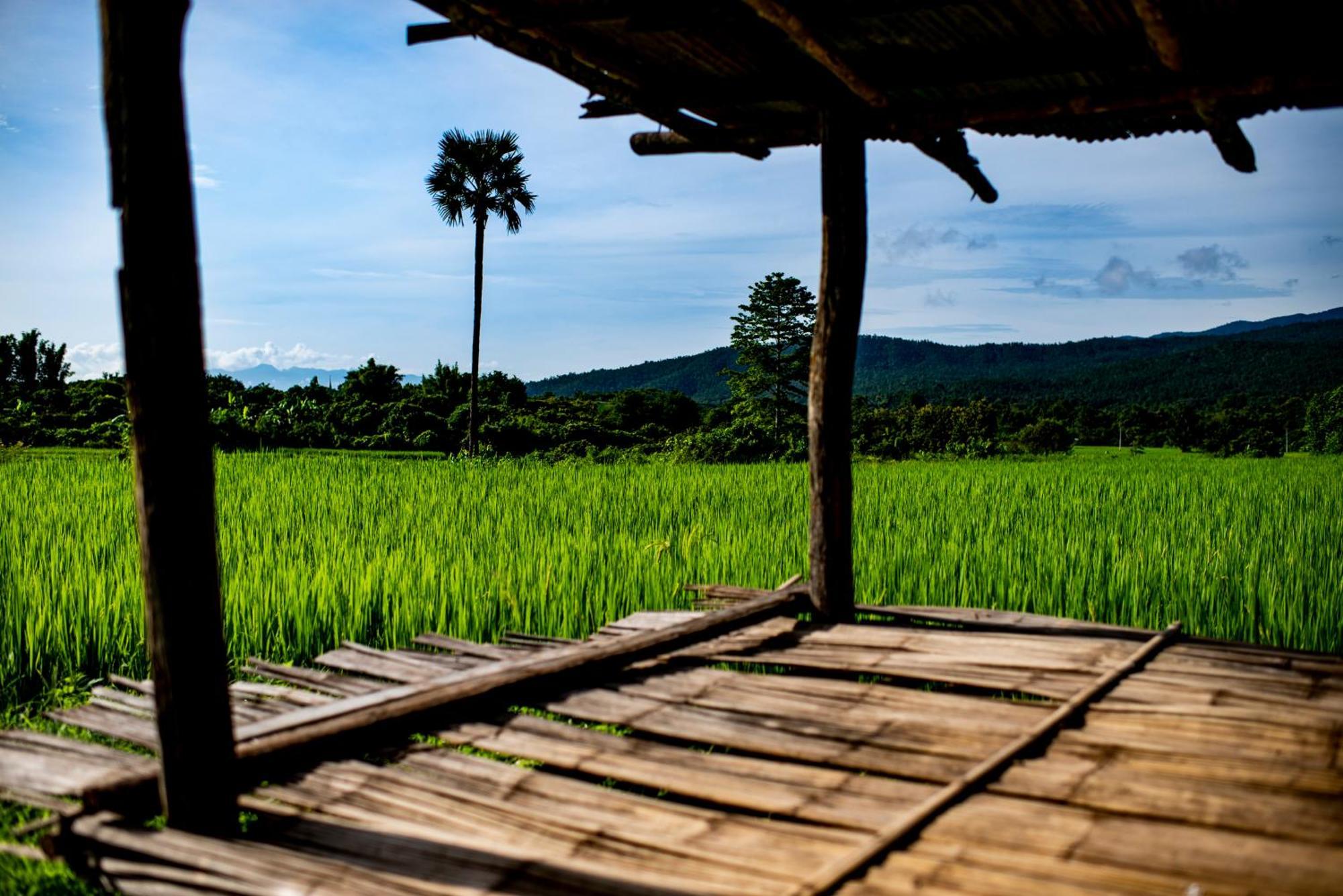 Suan Sook Homestay Chom Thong Extérieur photo