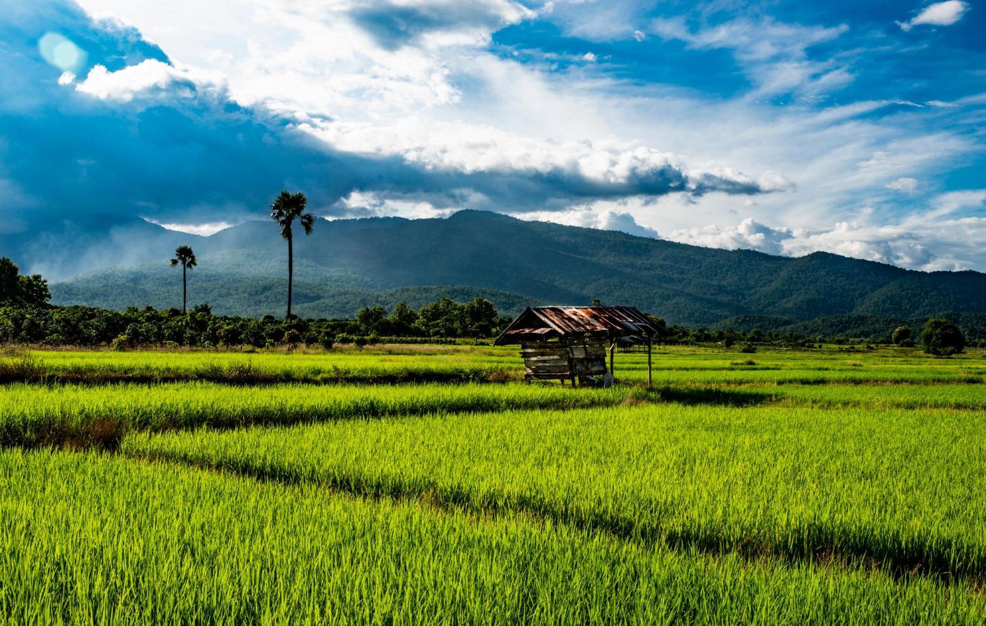 Suan Sook Homestay Chom Thong Extérieur photo